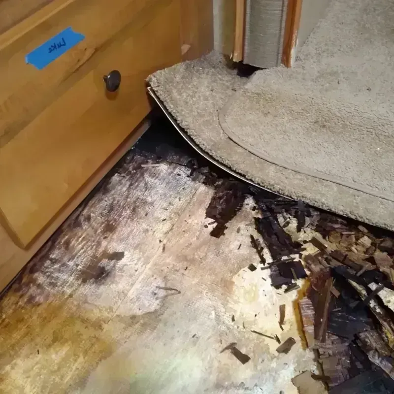 Wood Floor Water Damage in Hunter, OH